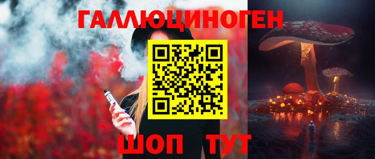 Галлюциногенные грибы Psilocybe  Вход с VPN  Верхняя Салда 
